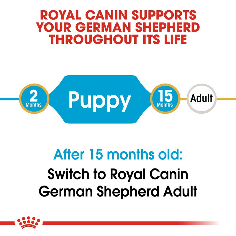 Royal Canin German Shepherd Puppy || Royal Canin Breed || view 4