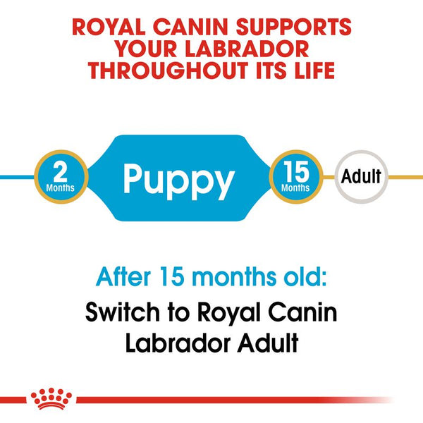 Royal Canin Labrador Retriever Puppy || Royal Canin Breed || view 4