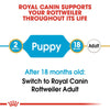 Royal Canin Rottweiler Puppy || Royal Canin Breed || view 5