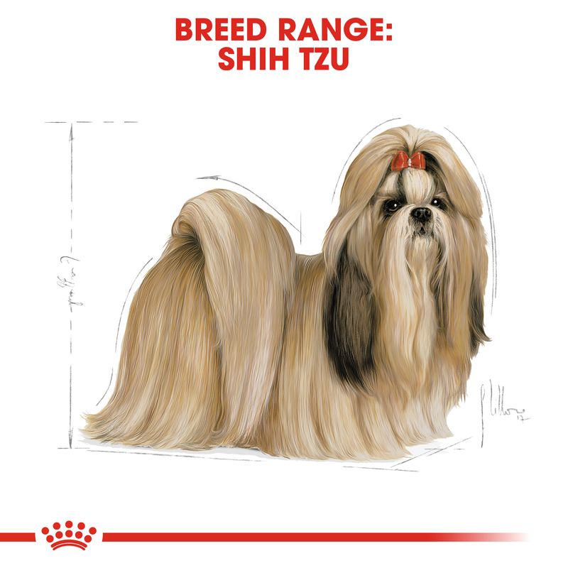 Royal Canin Shih Tzu Adult || Royal Canin Breed || view 5