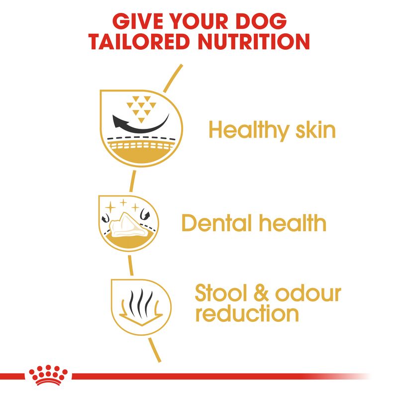 Royal Canin Shih Tzu Adult || Royal Canin Breed || view 4