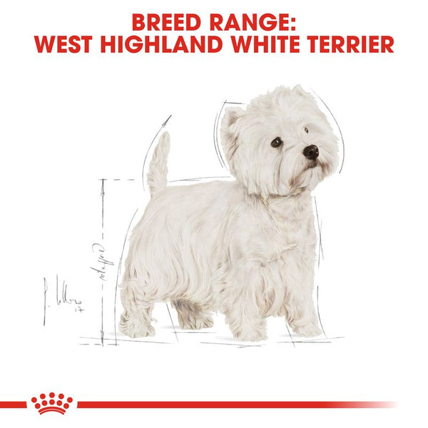 Royal Canin West Highland White Terrier Adult || Royal Canin Breed || view 5