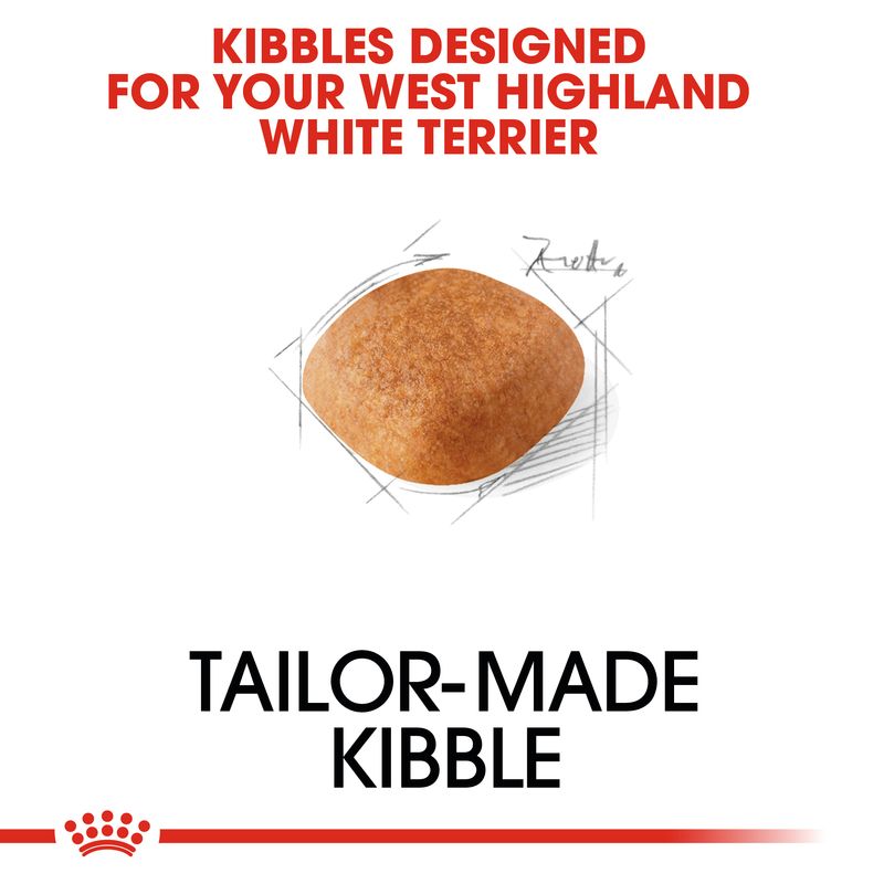 Royal Canin West Highland White Terrier Adult || Royal Canin Breed || view 4