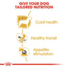 Royal Canin Chihuahua Loaf || Royal Canin Breed || view 4