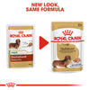 Royal Canin Dachshund Loaf || Royal Canin Breed || view 6
