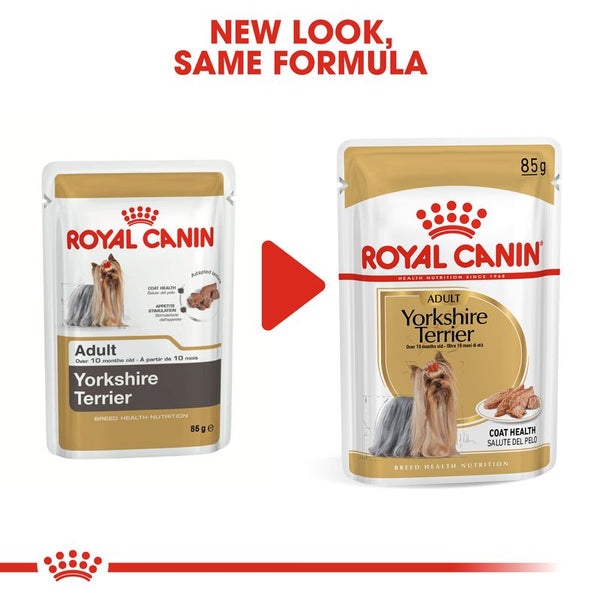 Royal Canin Yorkshire Terrier Adult Loaf || Royal Canin Breed || view 6