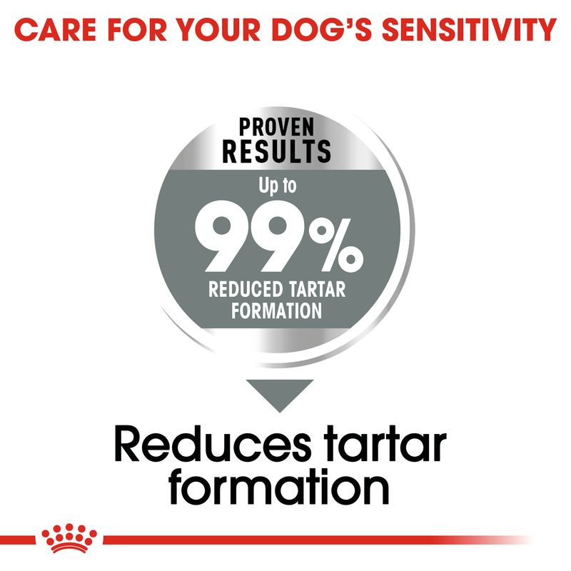 Royal Canin Care Nutrition Medium Dental Care || Royal Canin Care Nutrition || view 4