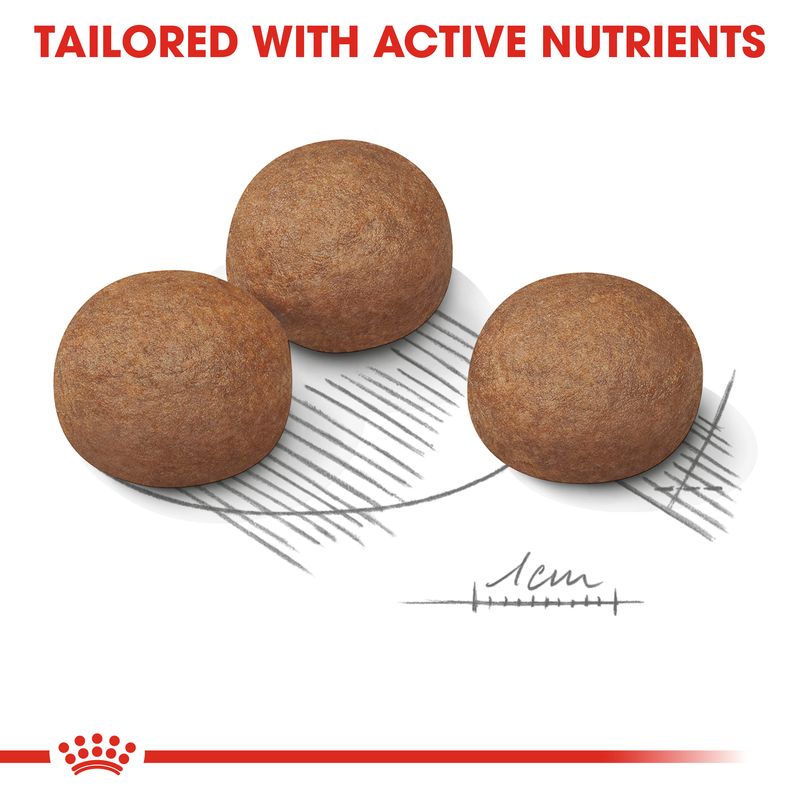 Royal Canin Maxi Digestive Care || Royal Canin Care Nutrition || view 3