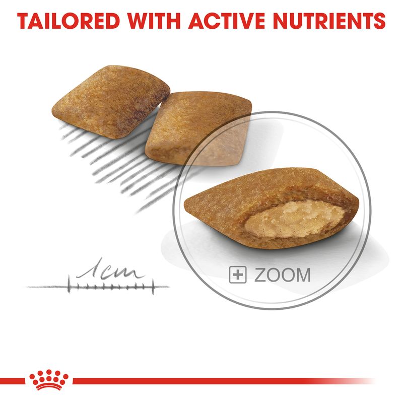 Royal Canin Mini Exigent || Royal Canin Care Nutrition || view 3