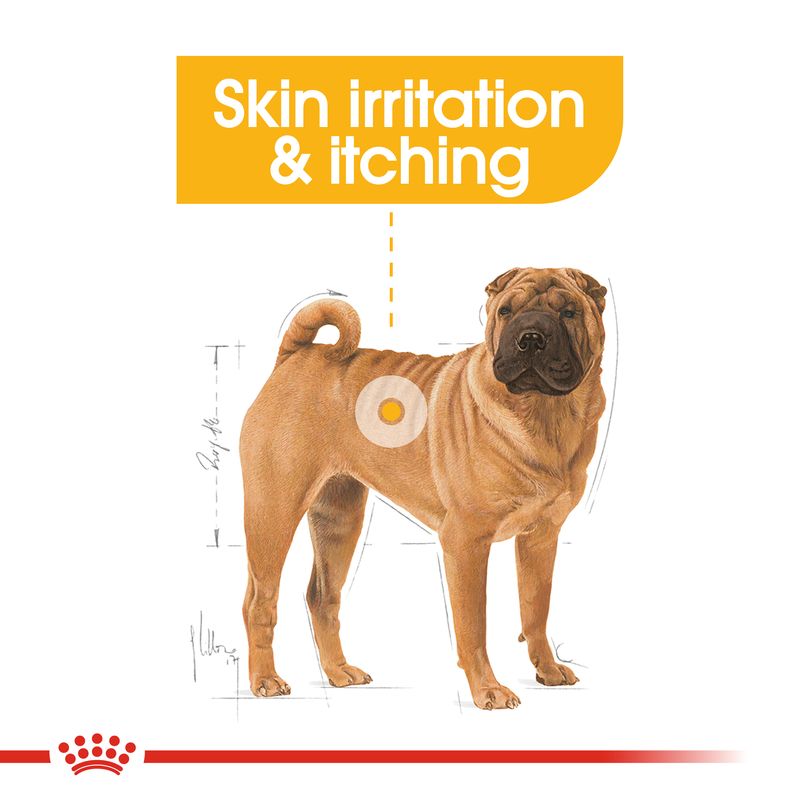 Royal Canin Medium Dermacomfort || Royal Canin Care Nutrition || view 7