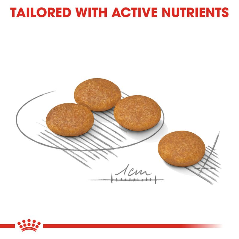 Royal Canin Mini Dermacomfort || Royal Canin Care Nutrition || view 3