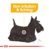 Royal Canin Dermacomfort Loaf || Royal Canin Care Nutrition || view 6