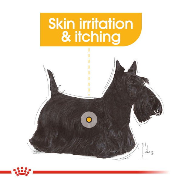 Royal Canin Dermacomfort Loaf || Royal Canin Care Nutrition || view 6