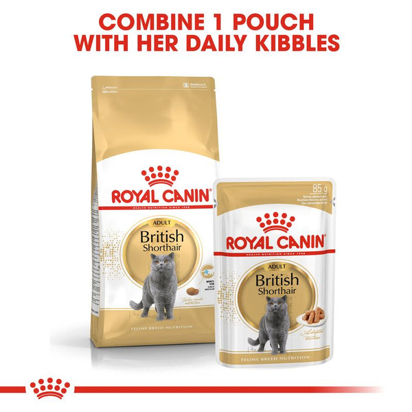 Royal Canin British Shorthair Adult || Royal Canin Breed || view 4
