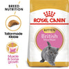 Royal Canin British Shorthair Kitten || undefined || view 1