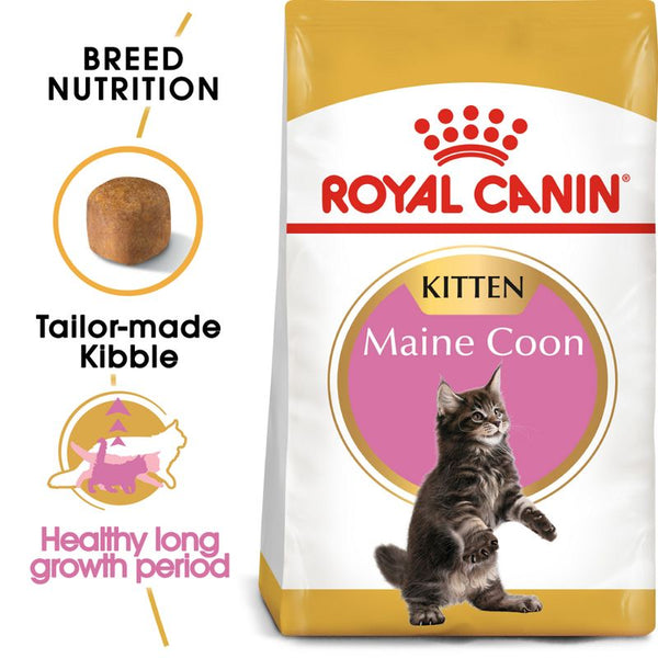 Royal Canin Maine Coon Kitten || Royal Canin Breed || view 1