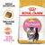 Royal Canin Persian Kitten || Royal Canin Breed || view 1