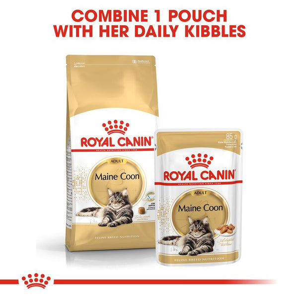 Royal Canin Maine Coon Adult || Royal Canin Breed || view 5