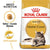 Royal Canin Maine Coon Adult || Royal Canin Breed || view 1