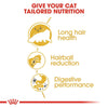Royal Canin Persian Adult || undefined || view 6