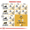 Royal Canin Persian Adult || undefined || view 7