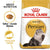 Royal Canin Persian Adult || undefined || view 1