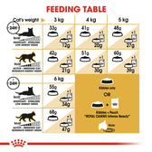 Royal Canin Siamese Adult || Royal Canin Breed || view 5