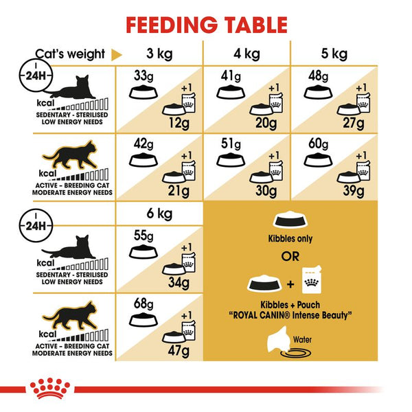 Royal Canin Siamese Adult || Royal Canin Breed || view 5