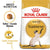 Royal Canin Siamese Adult || Royal Canin Breed || view 1