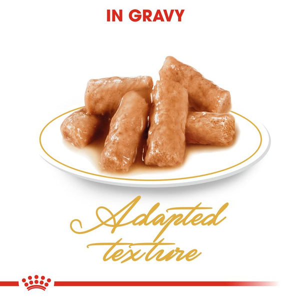 Royal Canin British Shorthair Adult in Gravy || undefined || view 3