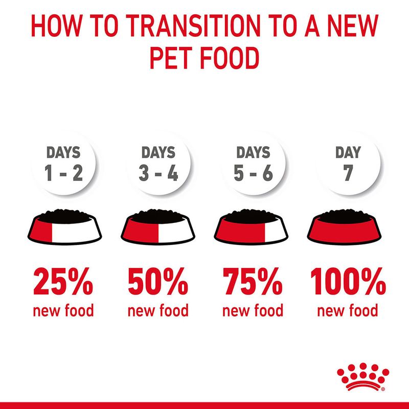 Royal Canin Hairball Care in Gravy || undefined || view 11