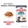 Royal Canin Hairball Care in Gravy || undefined || view 1