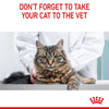 Royal Canin Hairball Care in Jelly || Royal Canin Care Nutrition || view 12
