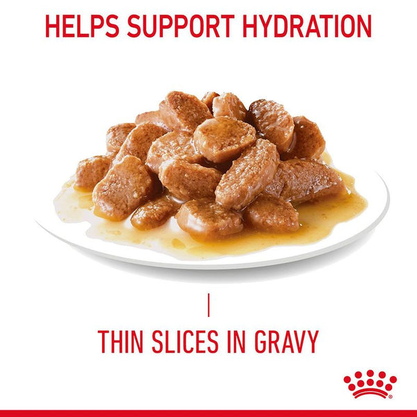 Royal Canin Urinary Care in Gravy || undefined || view 6