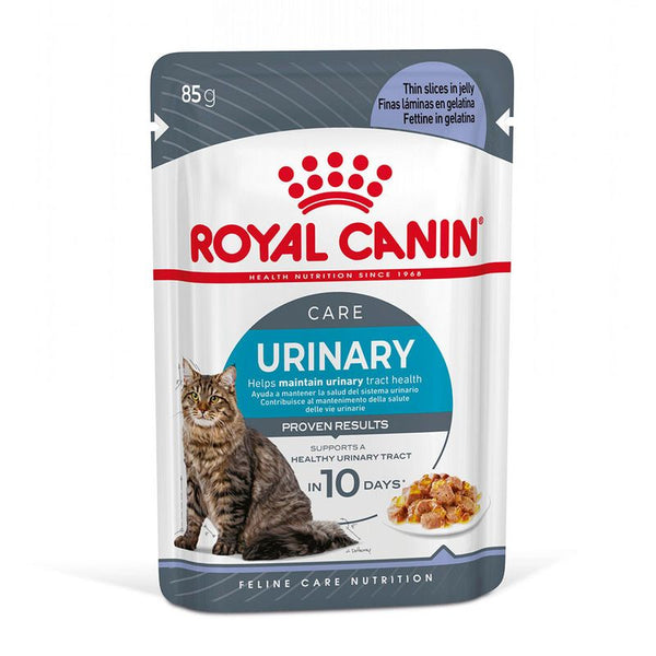 Royal Canin Urinary Care in Jelly || Royal Canin Care Nutrition || view 1