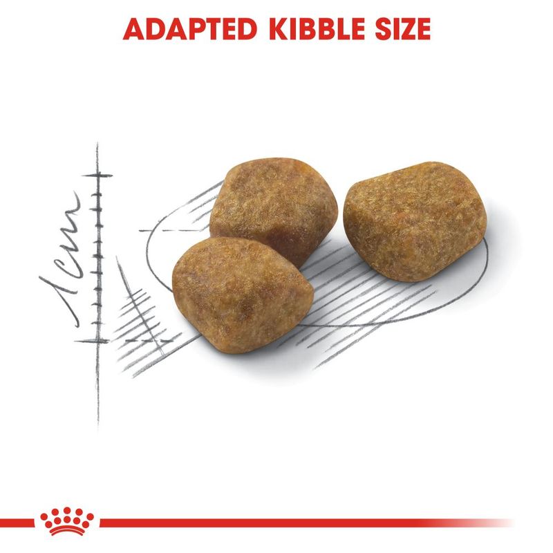 Royal Canin Regular Fit || Royal Canin || view 6