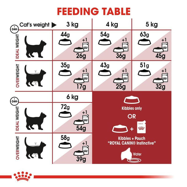 Royal Canin Regular Fit || Royal Canin || view 8