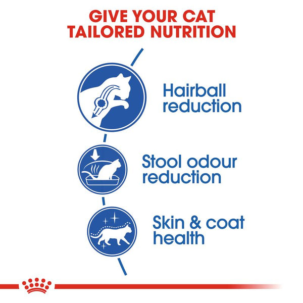 Royal Canin Indoor Long Hair || Royal Canin || view 3