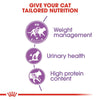 Royal Canin Sterilised 37 Cat || Royal Canin || view 8