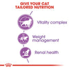 Royal Canin Sterilised 7+ Cat || Royal Canin || view 3