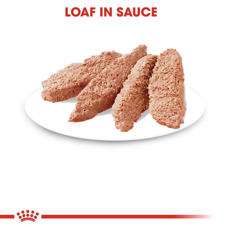 Sliced loaf in sauce shown on a white plate, with the text 'Loaf in Sauce' above.