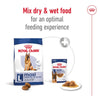 Royal Canin Maxi Adult 5+ || Royal Canin Size || view 7