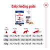 Royal Canin Maxi Ageing 8+ || Royal Canin Size || view 10