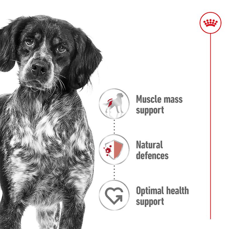 Royal Canin Medium Adult || Royal Canin Size || view 3