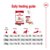 Royal Canin Medium Ageing 10+ || Royal Canin Size || view 10