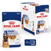 Royal Canin Maxi Adult in Gravy || Royal Canin Size || view 3