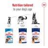 Royal Canin Maxi Adult in Gravy || Royal Canin Size || view 7
