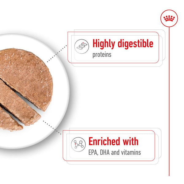 Royal Canin Maxi Ageing in Loaf || Royal Canin Size || view 4
