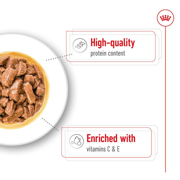 Royal Canin Medium Adult in Gravy || Royal Canin Size || view 5
