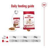 Royal Canin Medium Adult in Gravy || Royal Canin Size || view 8